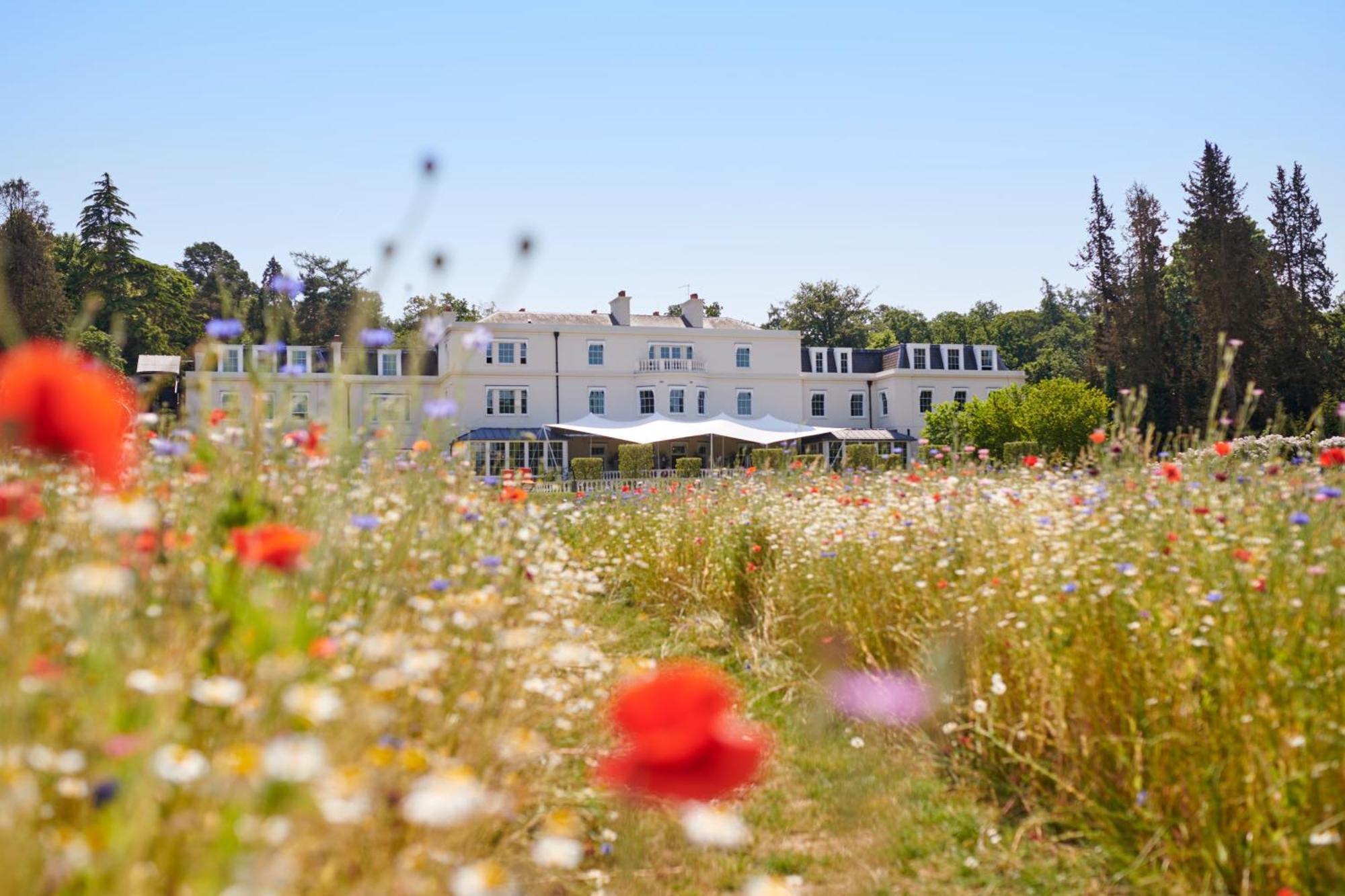 Coworth Park - Dorchester Collection Hotel Ascot  Exterior foto